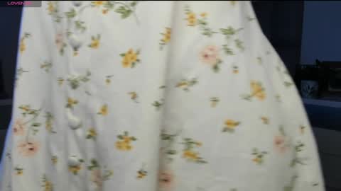 Snapshot of ashley_120 chatting on January 2025 01:29:01 AM Carolina online show from January 2025 01:29:01 AM