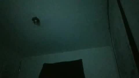 danni travis online show from February 2025 07:44:02 AM