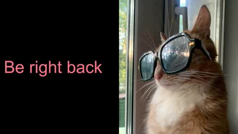 Astra  online show from February 2025 10:40:02 AM