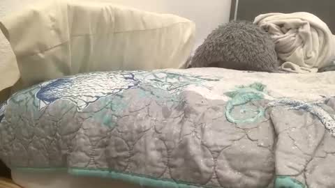 astrologyboy online show from April 2026 02:36:02 AM