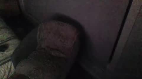 aszttz online show from February 2025 02:27:01 PM