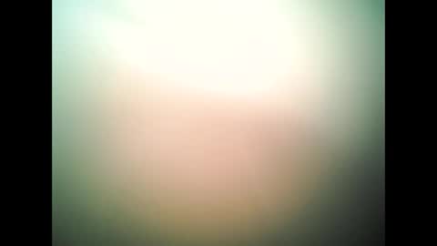 at4201993 online show from October 2025 09:28:02 PM