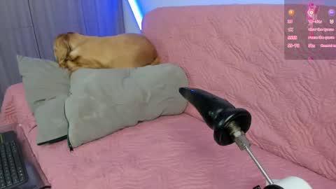 Atalaya  - Jack online show from April 2026 04:59:01 AM