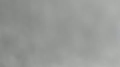 Monii Yi online show from December 2024 07:29:02 AM