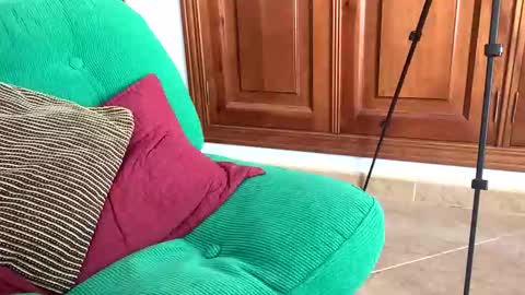 aurerex online show from November 2025 11:54:01 AM