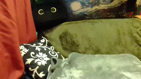 raven blue online show from January 2025 01:17:01 PM