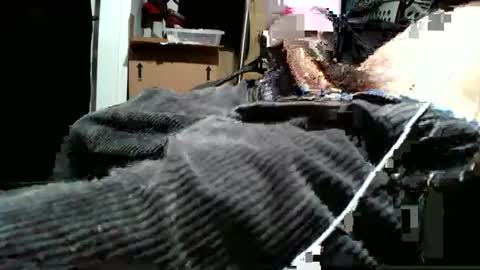 Snapshot of averagecharles757569 chatting on October 2025 05:27:02 AM averagecharles757569 online show from October 2025 05:27:02 AM