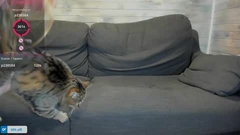 Maribel Bel online show from April 2026 01:23:01 PM