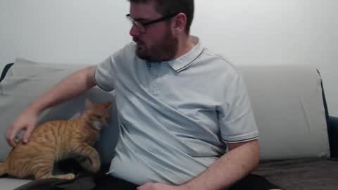 Azer online show from October 2025 07:37:02 PM