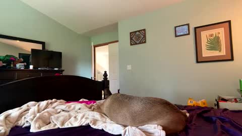 blue online show from April 2026 09:45:01 PM