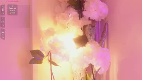 Baby june online show from June 2026 03:52:02 AM