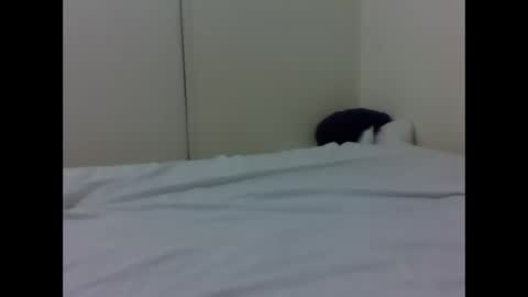 needoh online show from April 2026 04:37:02 PM