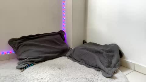 babycrazy24love online show from March 2025 05:47:01 PM