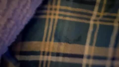 Babyfeets online show from December 2024 09:46:01 PM