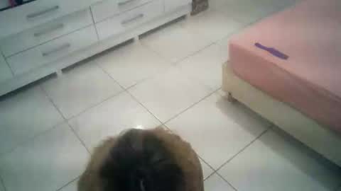 babyluna16 online show from October 2025 06:06:01 PM