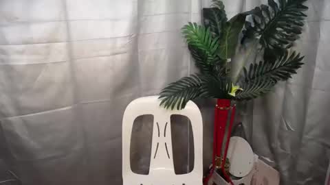 Nexie online show from October 2025 02:53:01 AM