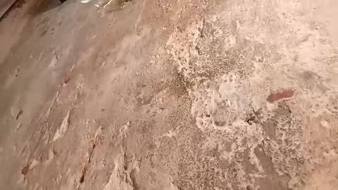 Megan online show from October 2025 09:22:01 PM