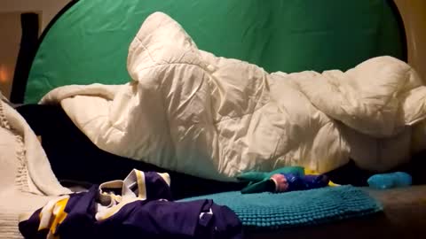 baconparma online show from November 2025 05:44:01 PM