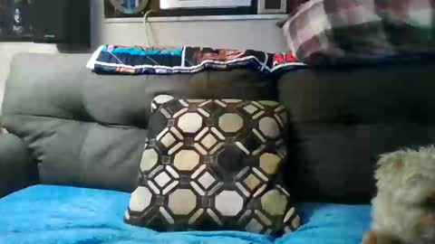 badcady0 online show from September 2025 03:22:01 AM