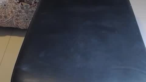 baker305 online show from October 2025 02:46:02 AM