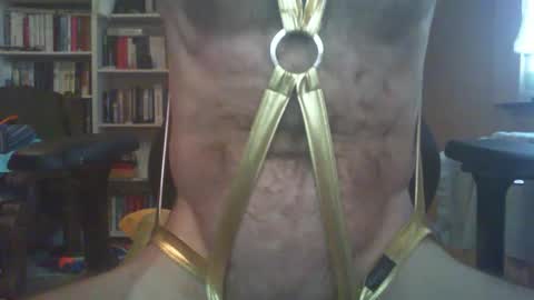 Snapshot of bakkus2307 chatting on December 2024 09:10:01 AM bakkus2307 online show from December 2024 09:10:01 AM