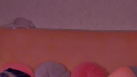 Snapshot of barbara_bb chatting on February 2025 05:25:01 AM Barbie Kim online show from February 2025 05:25:01 AM