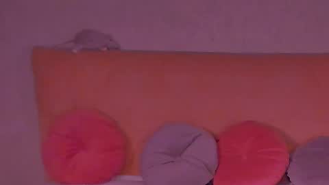 Snapshot of barbara_bb chatting on February 2025 12:04:02 AM Barbie Kim online show from February 2025 12:04:02 AM