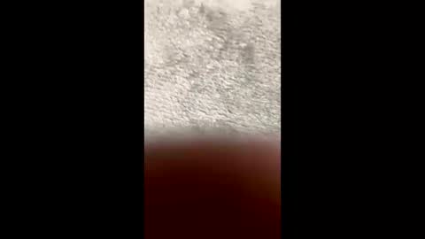 BarbaraDavid online show from March 2026 03:28:02 PM