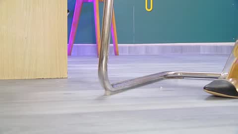 Barbara online show from January 2025 05:56:01 PM