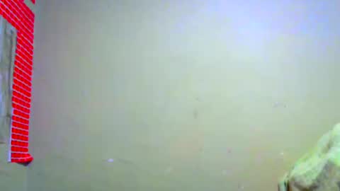 Snapshot of bardok_199419 chatting on September 2025 10:04:02 AM Blaky online show from September 2025 10:04:02 AM