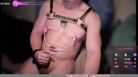 Snapshot of barenakedb0y chatting on February 2025 07:15:01 AM Barenaked boy online show from February 2025 07:15:01 AM