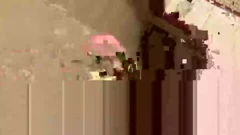 barkley314 online show from November 2025 02:18:01 PM