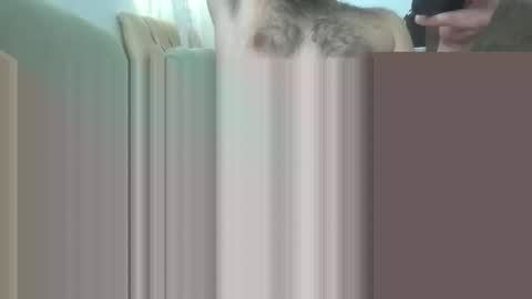 bathoneacock online show from March 2025 08:16:01 AM