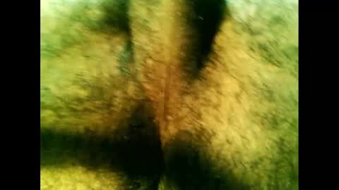 bayfall online show from December 2024 10:28:02 PM