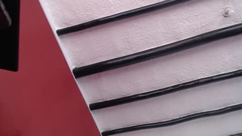 Snapshot of bayonette_black chatting on December 2024 11:34:02 AM bayonette_black online show from December 2024 11:34:02 AM