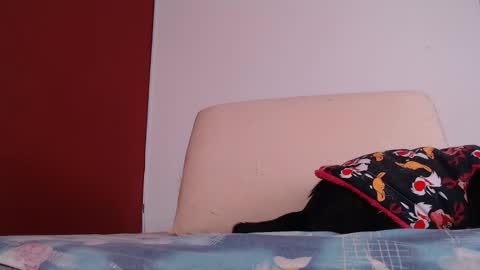 Snapshot of bayonette_black chatting on September 2025 12:09:02 PM bayonette_black online show from September 2025 12:09:02 PM