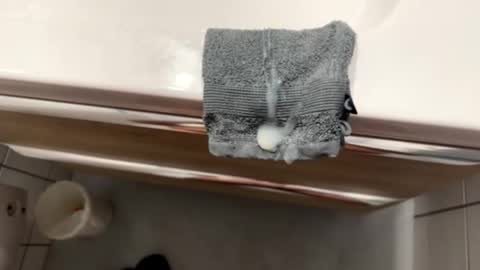 bazocaa online show from October 2025 04:02:02 AM