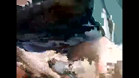 bbcbrazilianboy online show from September 2025 04:18:02 AM