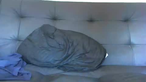 bby044 online show from January 2025 01:24:01 PM