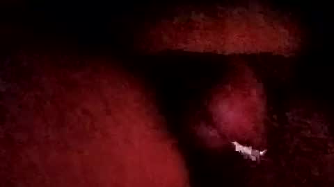 bcfalcon69 online show from January 2026 06:06:01 AM