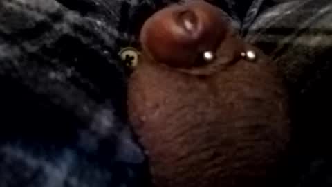 bcfalcon69 online show from February 2026 05:06:02 AM