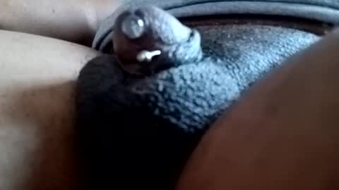 bcfalcon69 online show from March 2026 12:31:01 PM