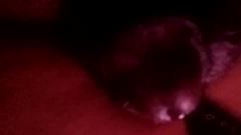 bcfalcon69 online show from April 2026 03:18:01 AM