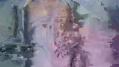 bd99bg online show from April 2026 03:39:01 AM