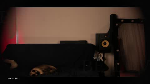 Call me Bells  Next Stream on Wednesday    Feb 26  online show from July 2026 06:50:01 PM