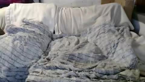 BeachyMILF online show from December 2025 04:13:01 PM