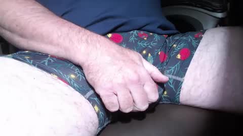 bearbuffet_ online show from December 2024 12:16:01 PM