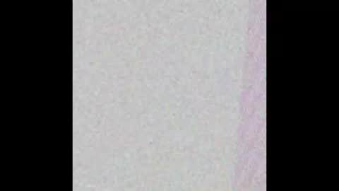 hungnheavy online show from November 2025 07:49:02 PM