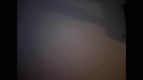 bee69239900 online show from June 2026 09:46:01 AM