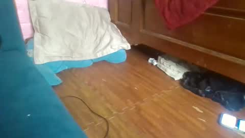 beebaby_xx online show from November 2025 03:39:01 PM